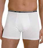 Champion 2-Pack Double Dry Active Fit Trunk